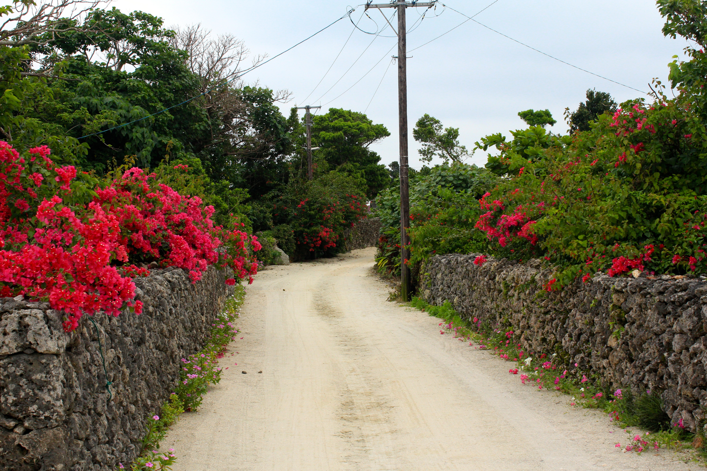 taketomi island (2).webp